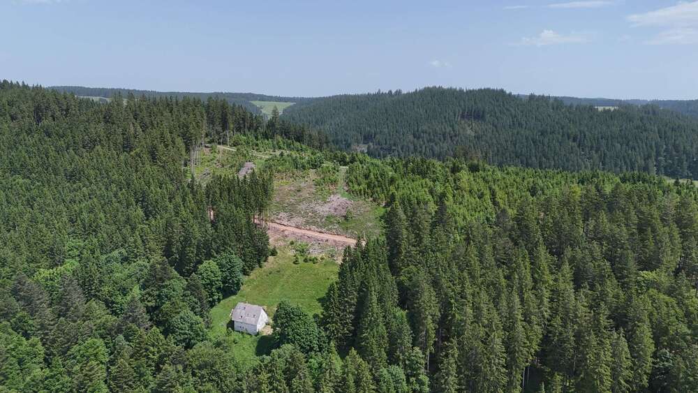 Thumbnail-Haus zum Kaufen in Furtwangen im Schwarzwald 280.000,00 € 130 m²