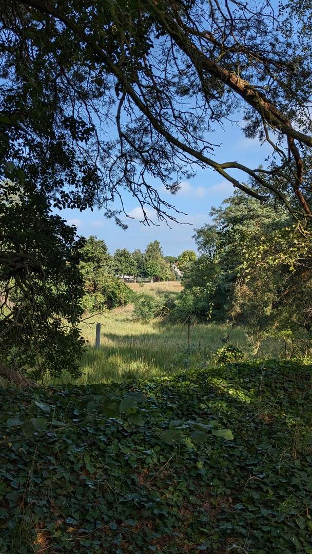Thumbnail-Grundstück zu verkaufen in Oelsig 185.000,00 € 29279 m²