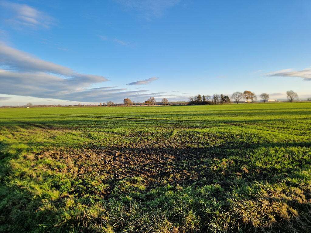 Thumbnail-Grundstück in Werl 648.550,00 € 54046 m²