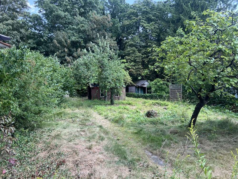 Thumbnail-Grundstück zu verkaufen in Hamburg-Volksdorf 300.000,00 € 529 m²