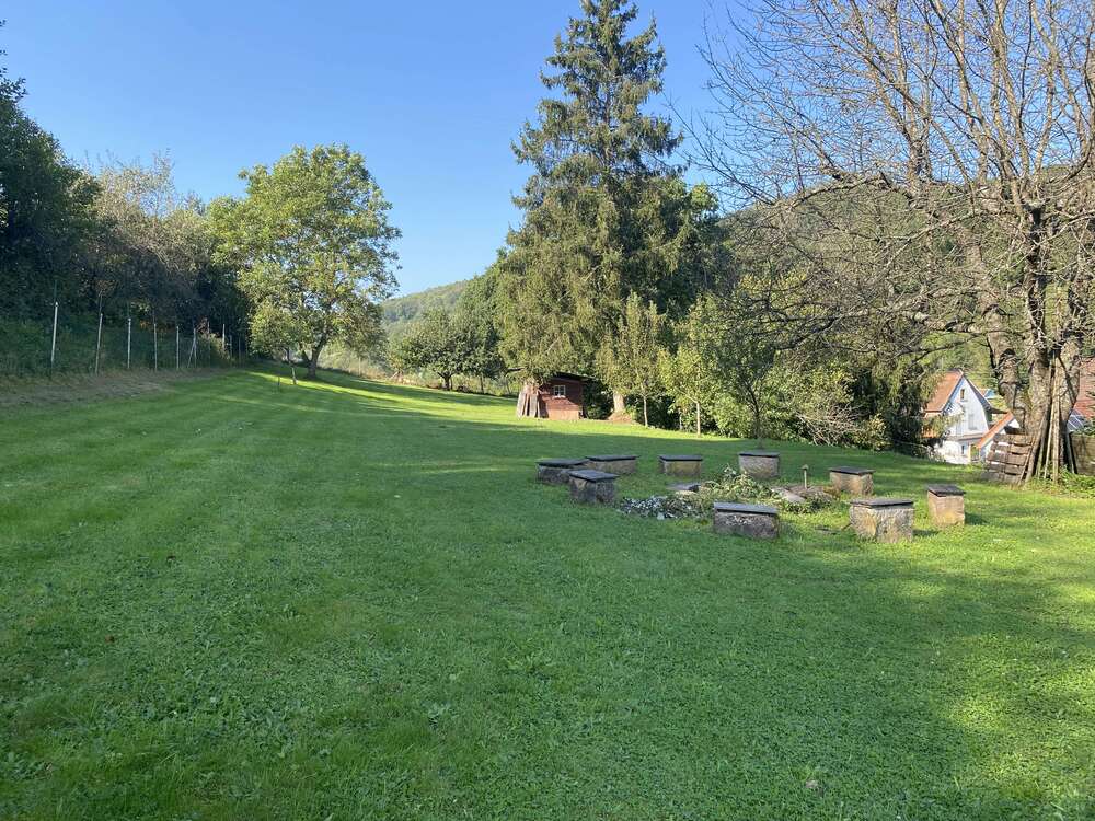 Thumbnail-Wohnung zum Mieten in Sulzbachtal 850,00 € 100 m²