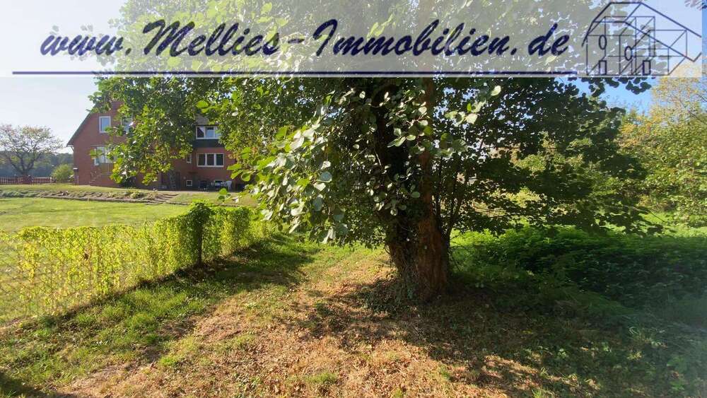 Thumbnail-Haus zum Kaufen in Bergen Dumme 205.000,00 € 144 m²