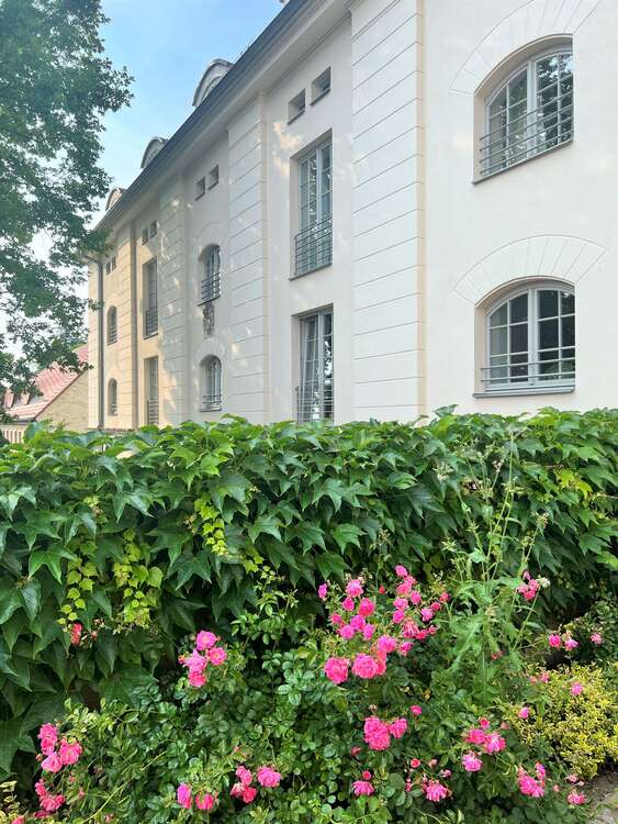 Thumbnail-Wohnung zum Kaufen in Dresden 418.500,00 € 116 m²