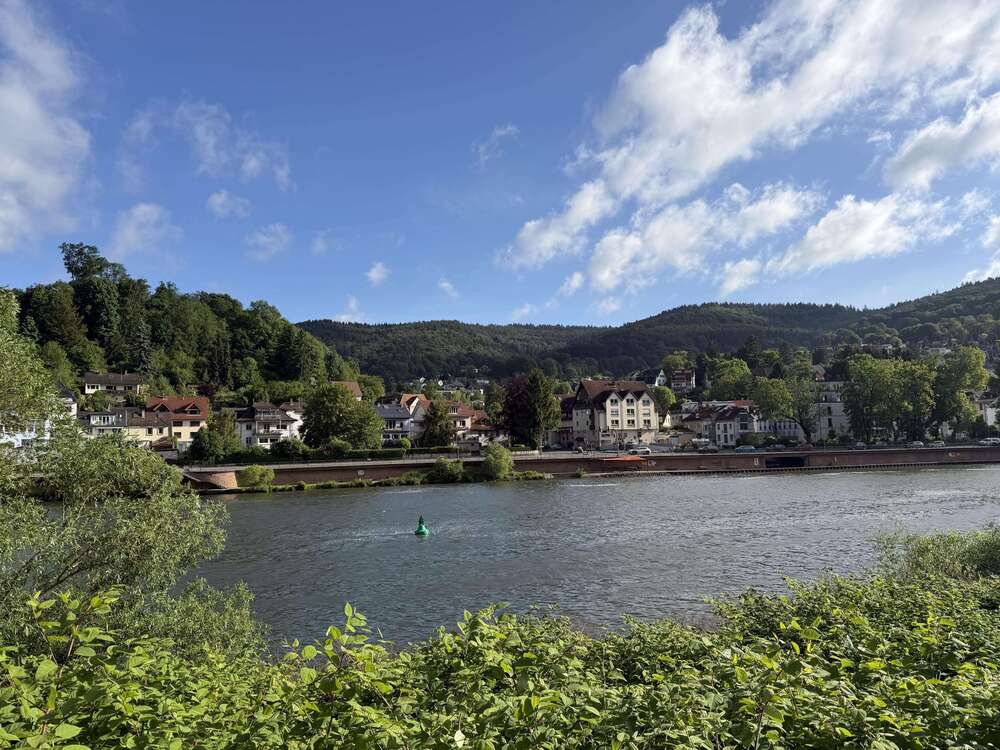 Thumbnail-Grundstück zu verkaufen in Heidelberg 429.000,00 € 549 m²