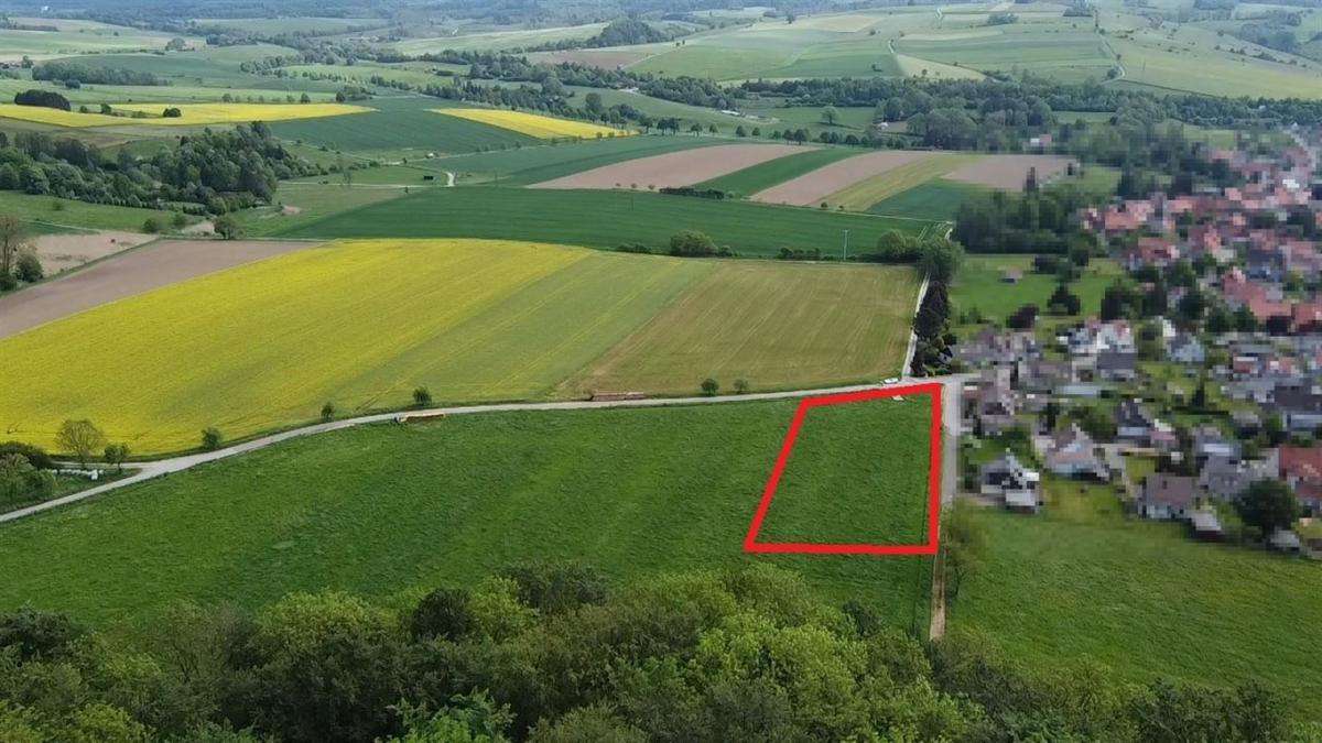 Thumbnail-Grundstück zu verkaufen in Bad Grund , Harz 66.000,00 € 1200 m²