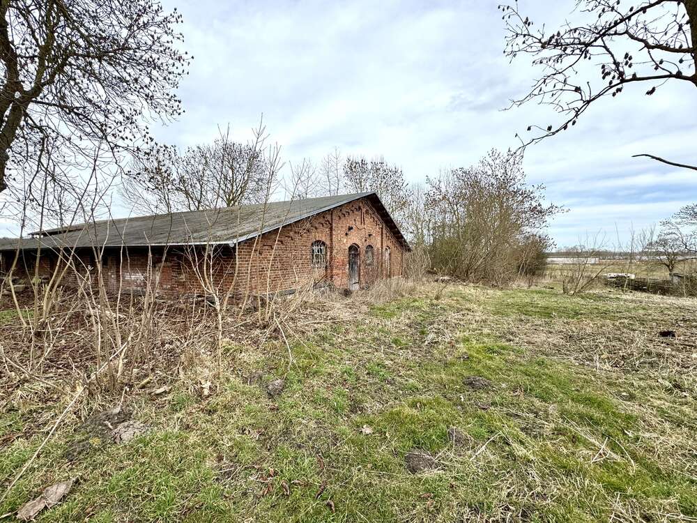 Thumbnail-Grundstück zu verkaufen in Dargun 79.000,00 € 4411 m²