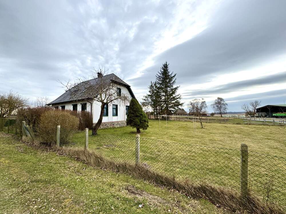 Thumbnail-Haus zum Kaufen in Warrenzin 218.000,00 € 137 m²