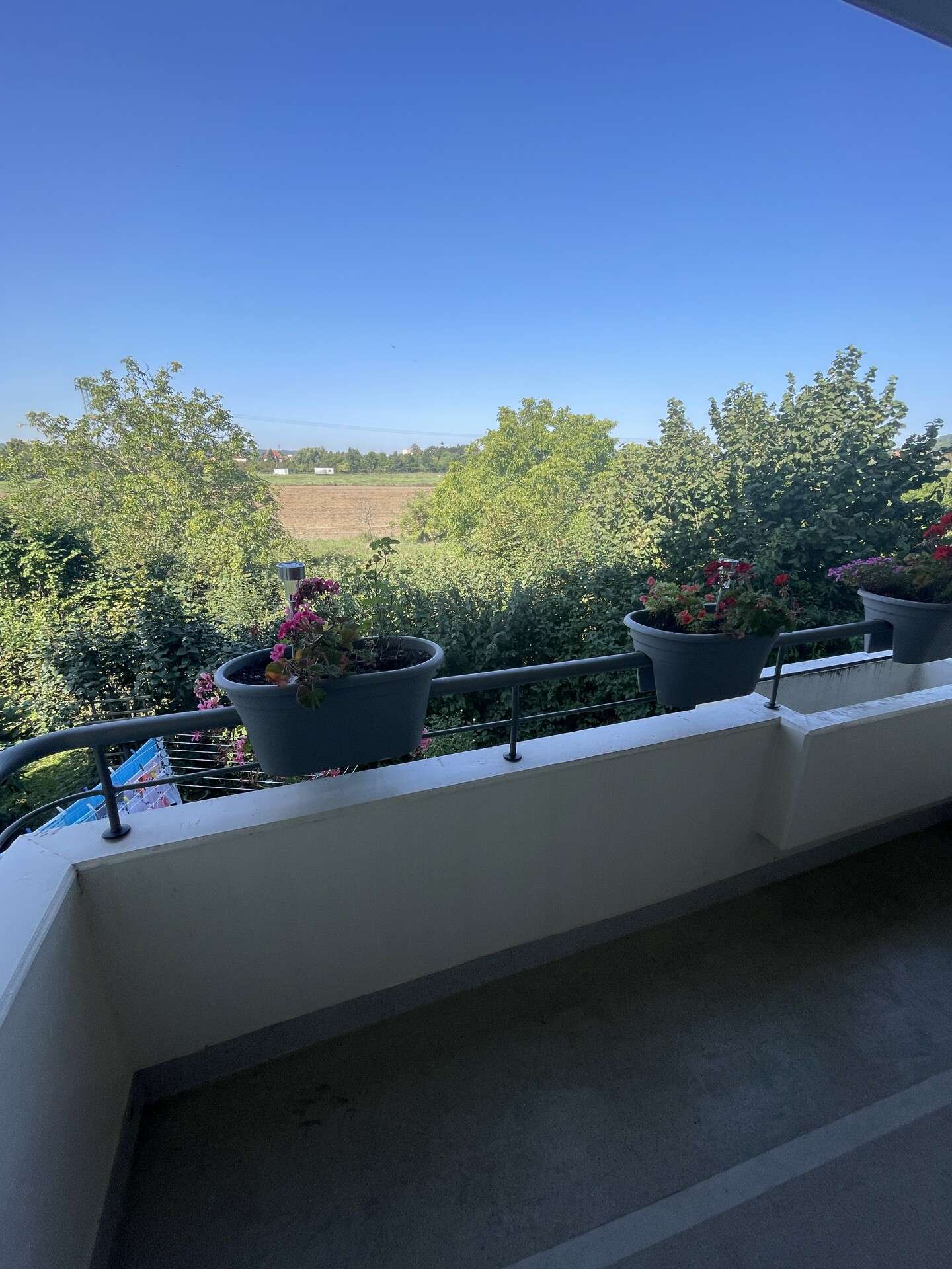 Thumbnail-Wohnung zum Kaufen in Radebeul 235.000,00 € 82 m²