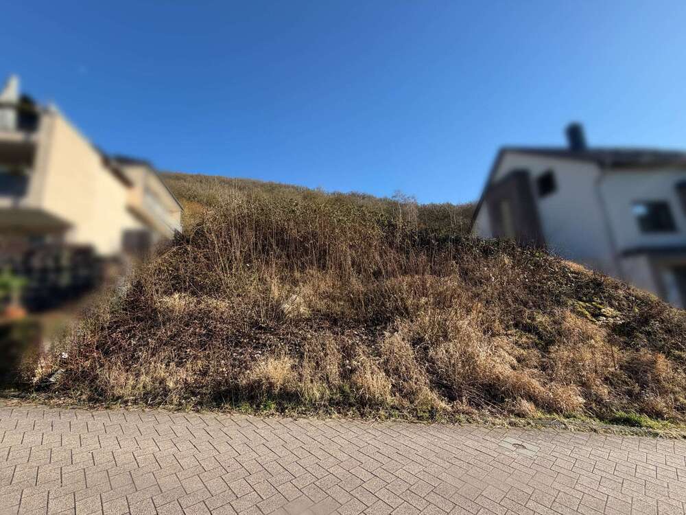 Thumbnail-Grundstück zu verkaufen in Burgen 65.000,00 € 463 m²