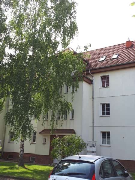 Thumbnail-Wohnung zum Mieten in Aschersleben 385,00 € 63.92 m²