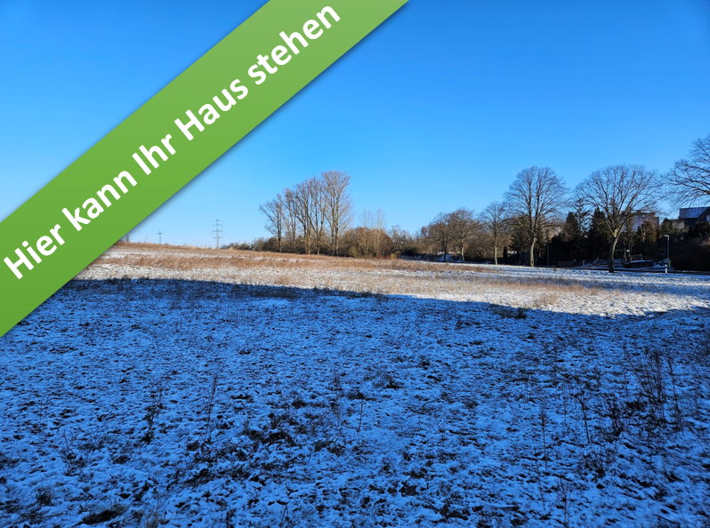 Thumbnail-Haus zum Kaufen in Flechtorf 398.850,00 € 133 m²