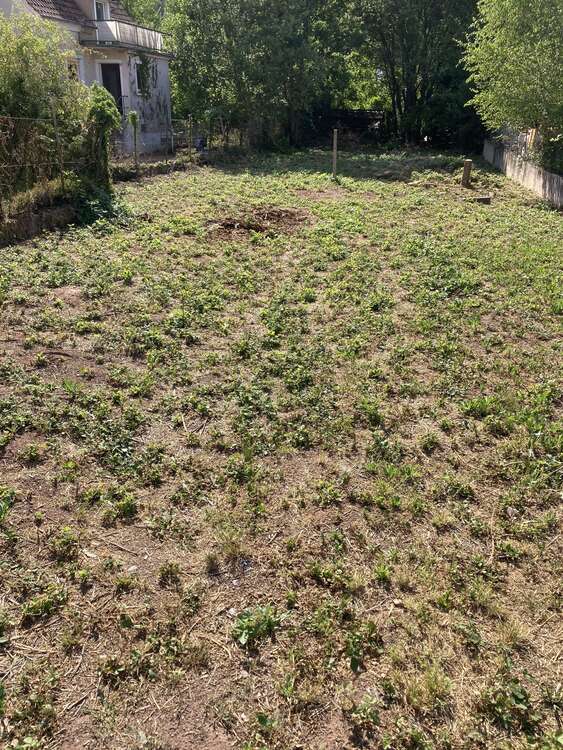 Thumbnail-Grundstück zu verkaufen in Bruchweiler-Bärenbach 100.000,00 € 760 m²
