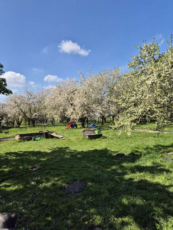 Thumbnail-Haus zum Kaufen in Meyenburg 350.000,00 € 520 m²