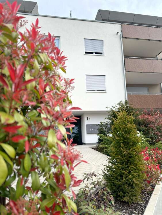 Thumbnail-Wohnung zum Mieten in Kehl 550,00 € 35 m²