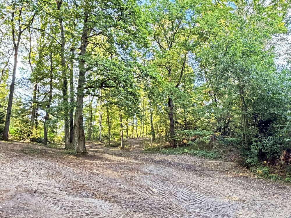 Thumbnail-Grundstück zu verkaufen in Seevetal 695.000,00 € 4018 m²