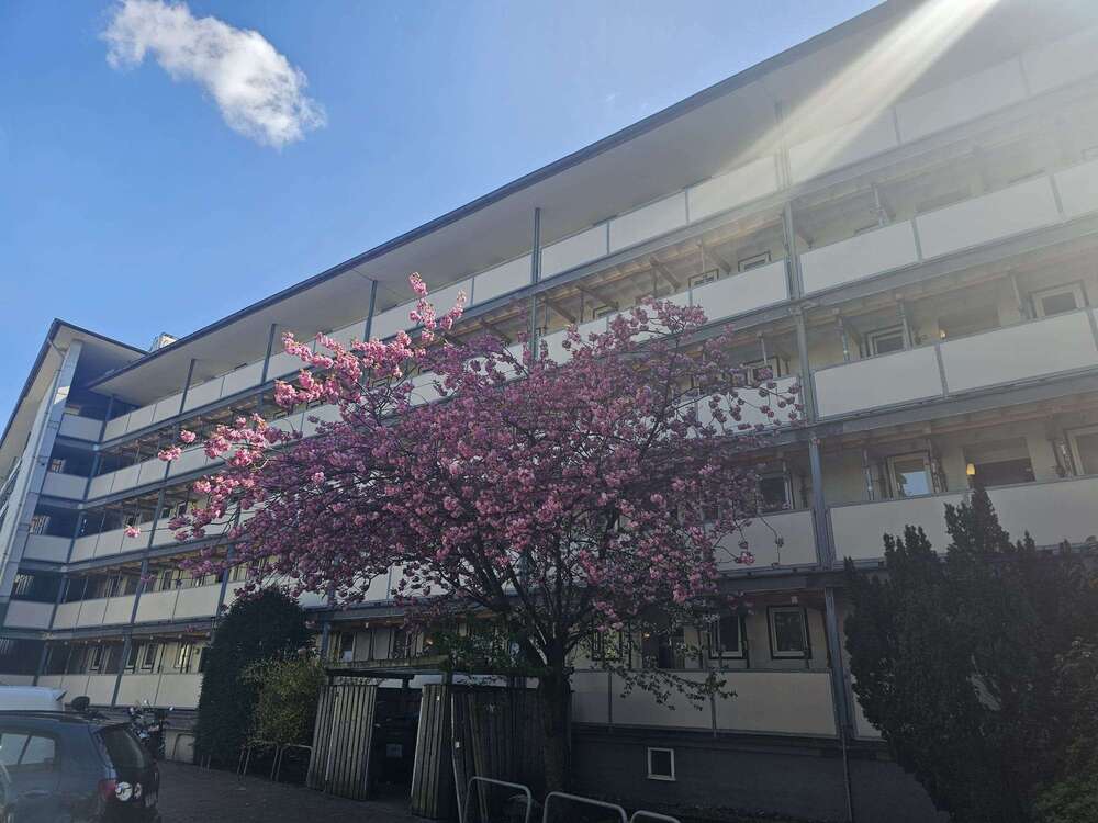 Thumbnail-Wohnung zum Kaufen in Hannover 135.000,00 € 50 m²