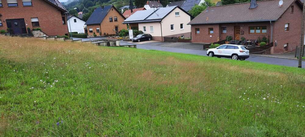 Thumbnail-Grundstück zu verkaufen in Neroth 69.000,00 € 886 m²