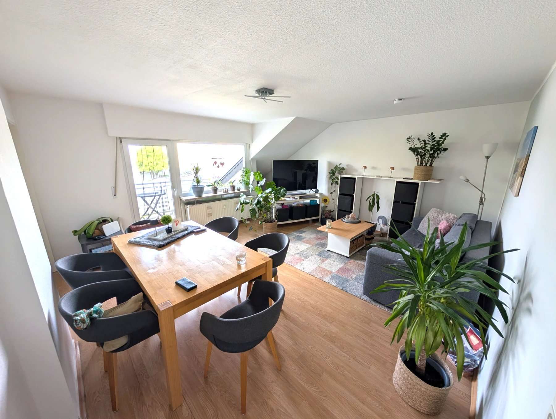 Thumbnail-Wohnung zum Mieten in Troisdorf 575,00 € 58 m²