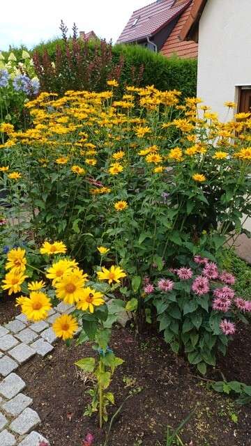 Thumbnail-Haus zum Kaufen in Weimar 385.000,00 € 128 m²