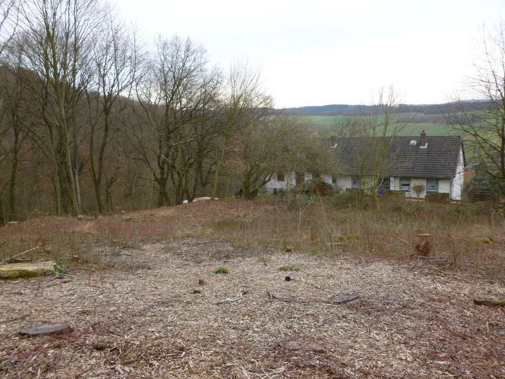 Thumbnail-Grundstück zu verkaufen in Alfeld 97.600,00 € 2090 m²