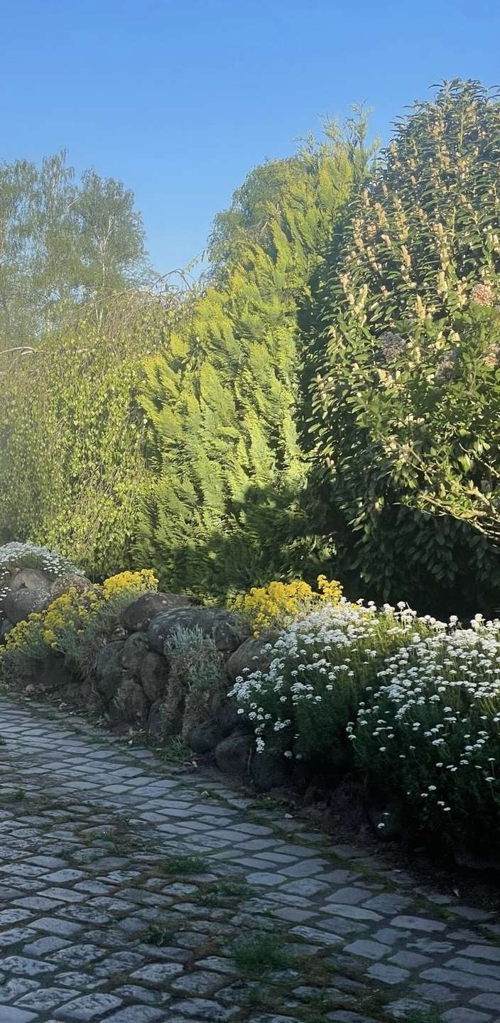 Thumbnail-Grundstück zu verkaufen in Isernhagen 760.000,00 € 2200 m²