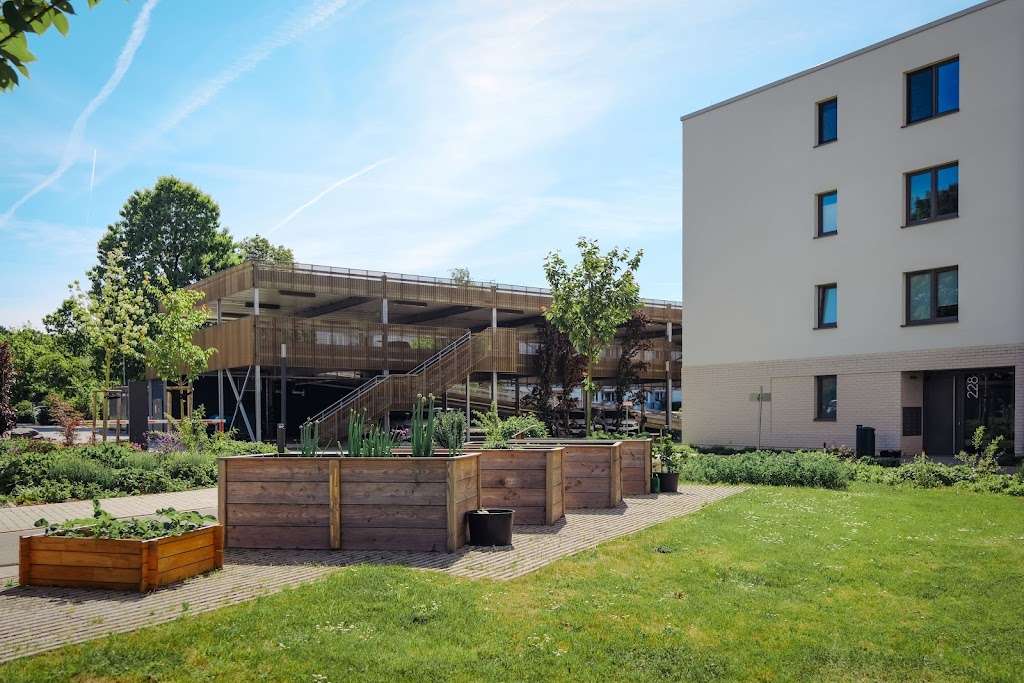 Thumbnail-Wohnung zum Mieten in Wolfsburg 463,13 € 37.05 m²