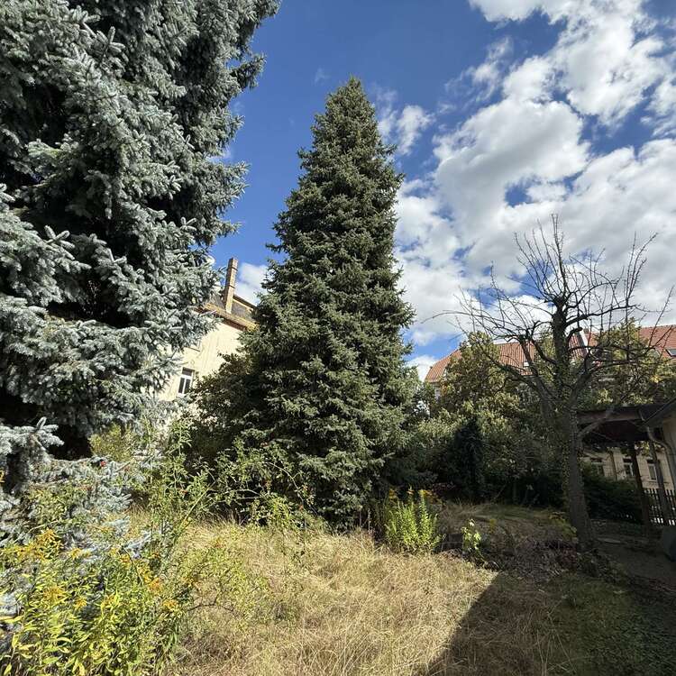 Thumbnail-Haus zum Kaufen in Markkleeberg 675.000,00 € 120 m²