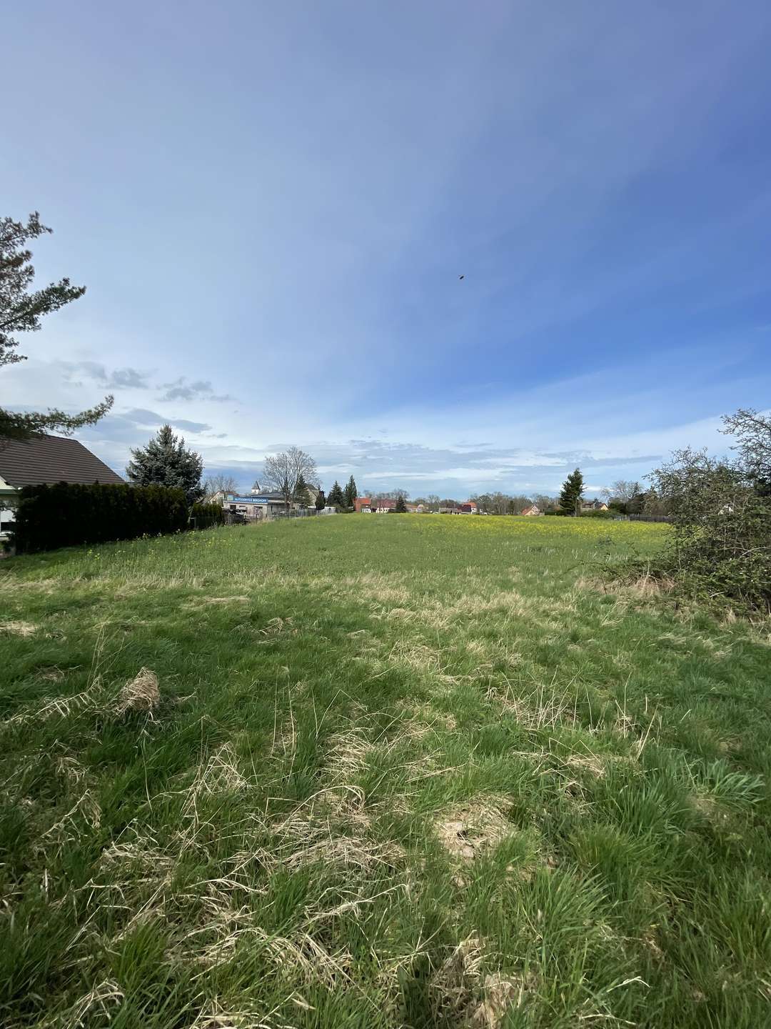 Thumbnail-Grundstück zu verkaufen in Wallendorf (Luppe) 117.300,00 € 690 m²