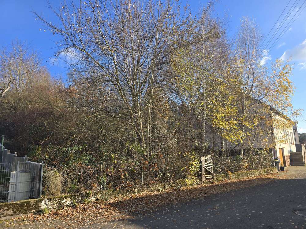 Thumbnail-Grundstück zu verkaufen in Lebach 70.000,00 € 1289 m²