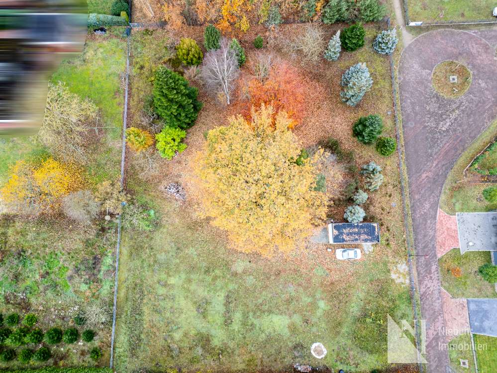 Thumbnail-Grundstück zu verkaufen in Bardowick 199.000,00 € 800 m²