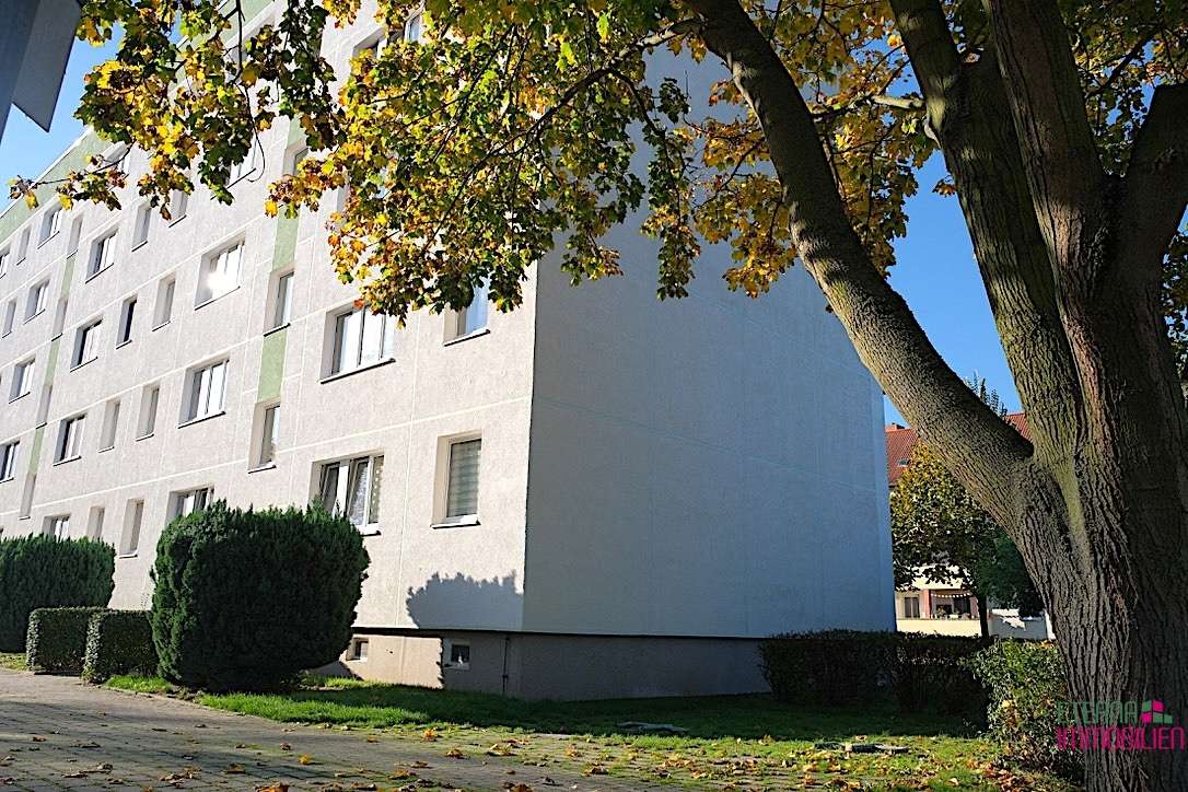 Thumbnail-Wohnung zum Kaufen in Magdeburg 98.000,00 € 70 m²