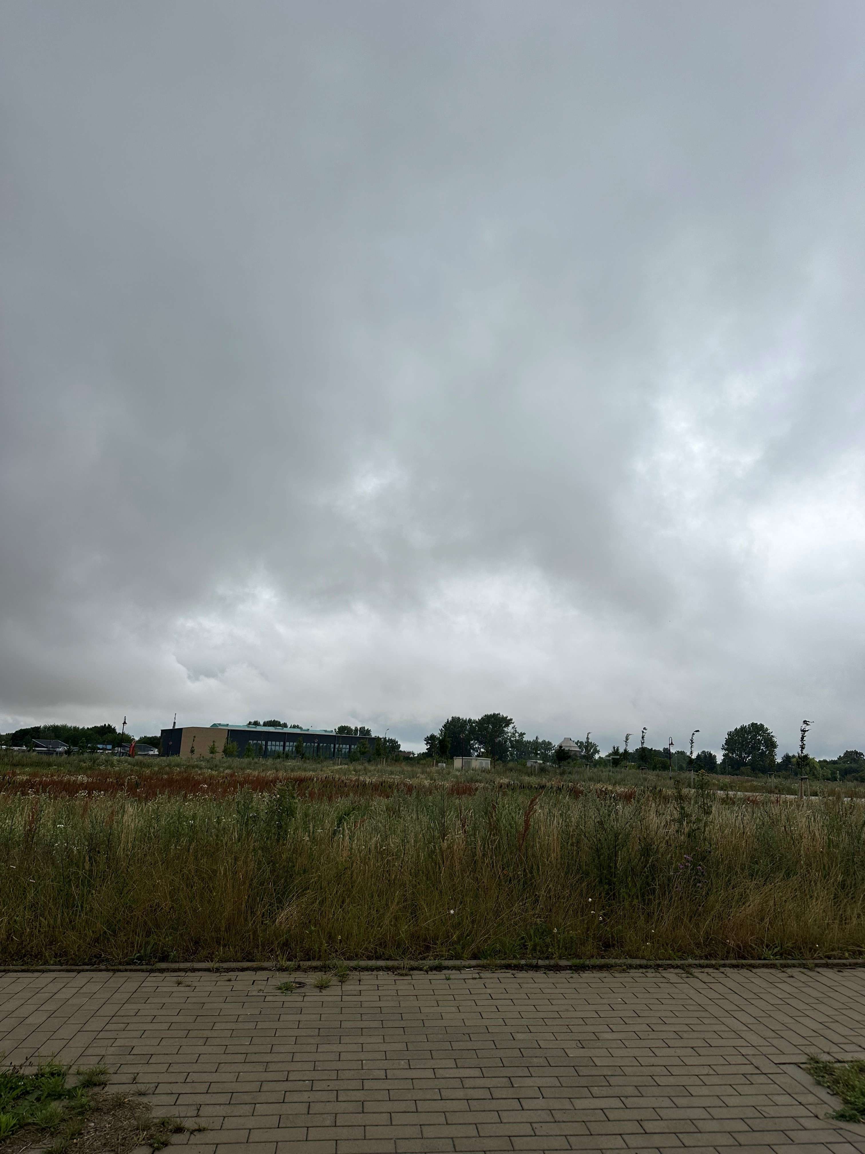Thumbnail-Grundstück zu verkaufen in Sundhagen 99.000,00 € 703 m²
