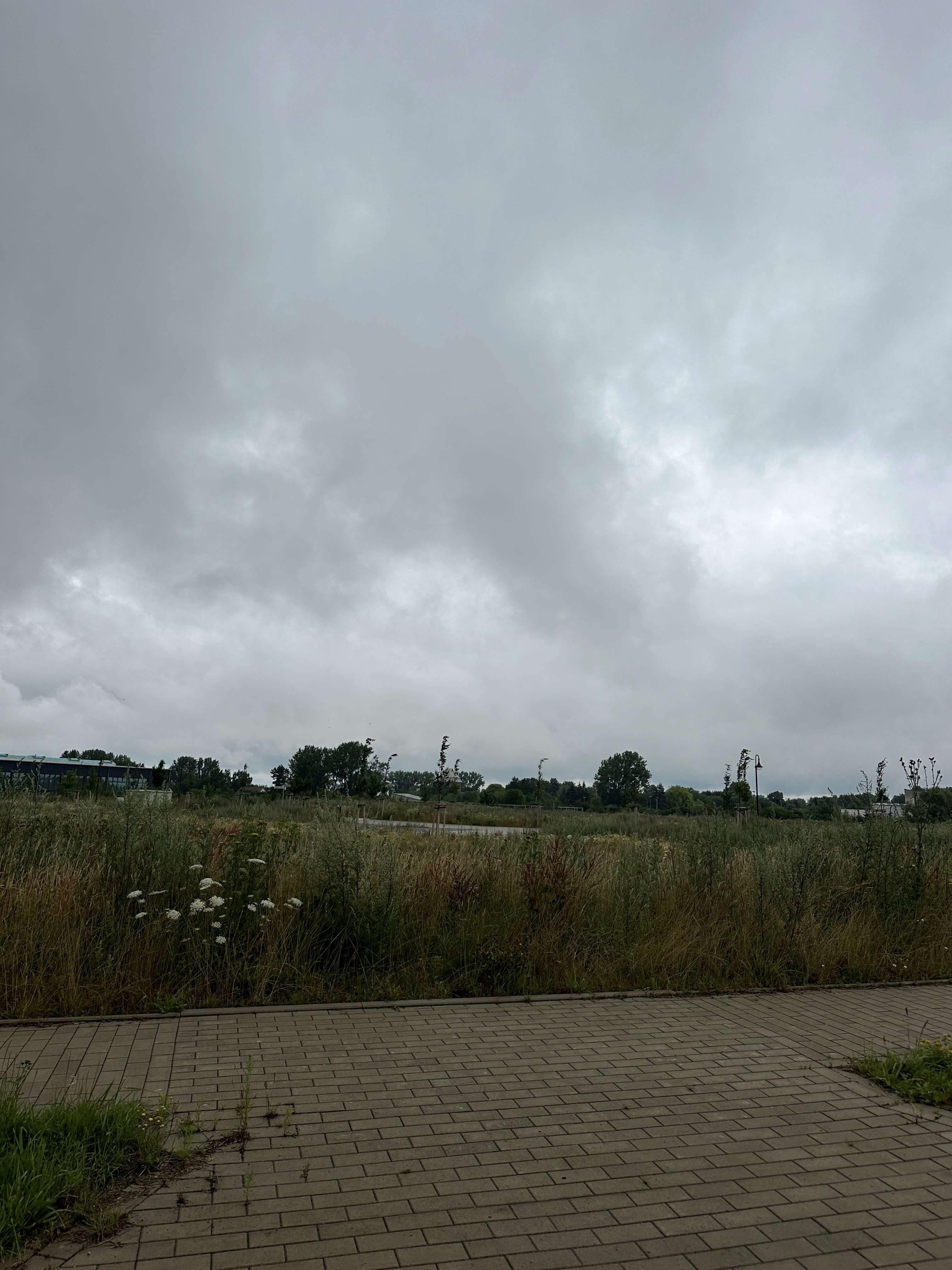 Thumbnail-Grundstück zu verkaufen in Reinkenhagen 99.000,00 € 703 m²