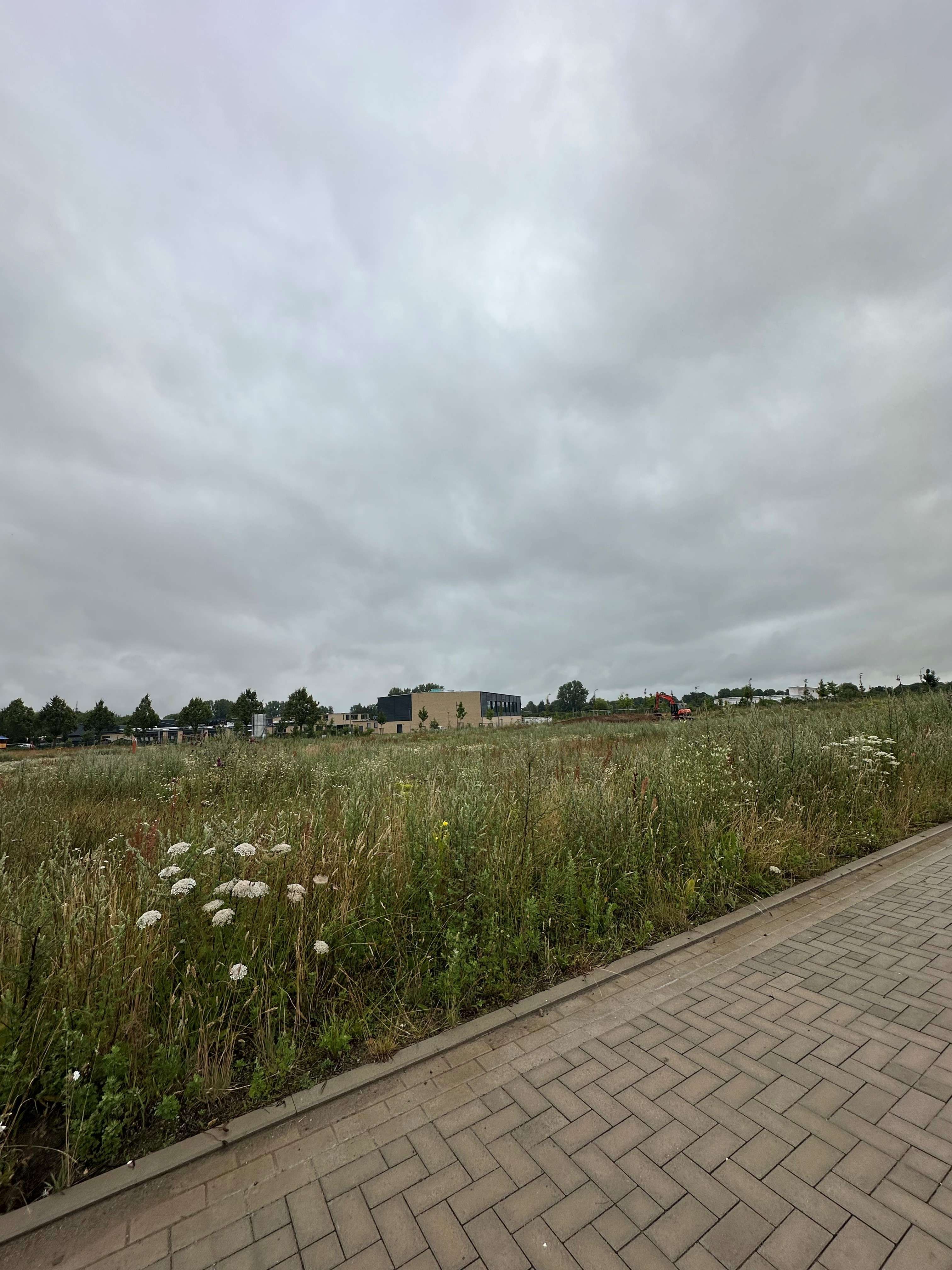 Thumbnail-Grundstück zu verkaufen in Reinkenhagen 99.500,00 € 717 m²