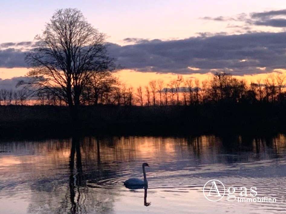 Thumbnail-Haus zum Kaufen in Liebenwalde 140.000,00 € 26 m²