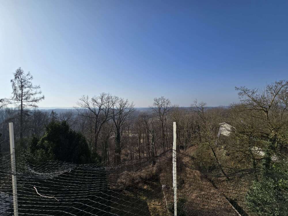 Thumbnail-Haus zum Kaufen in Mühldorf 549.000,00 € 160 m²