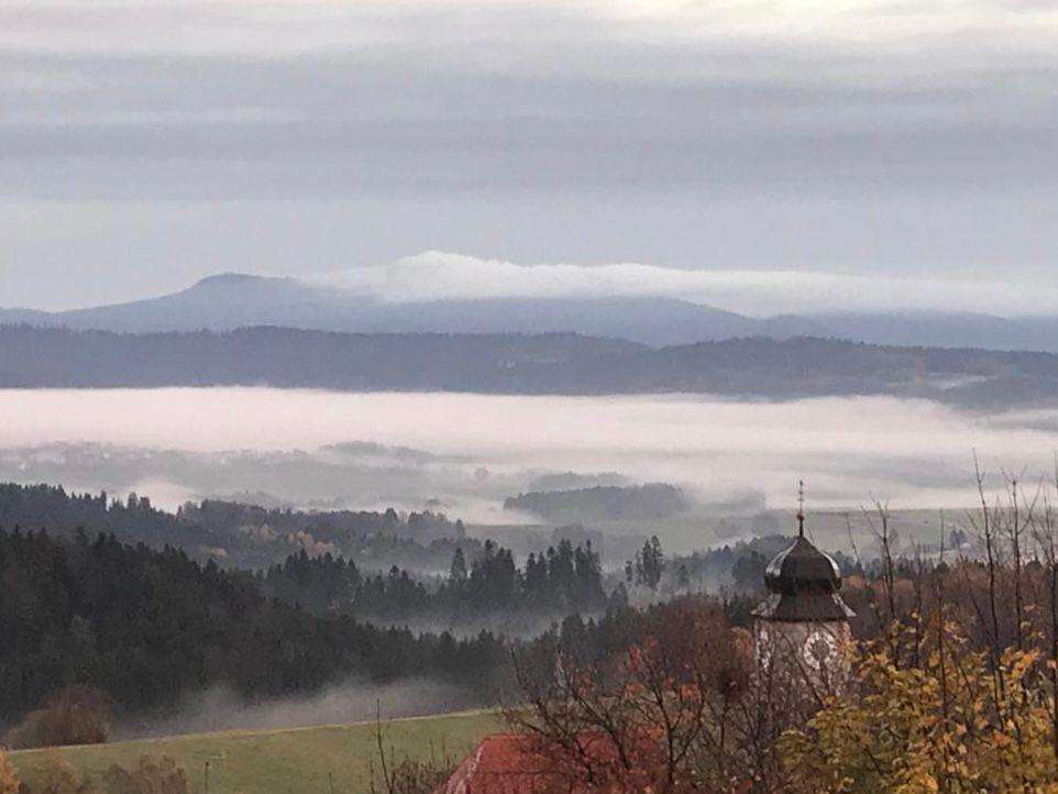 Thumbnail-Haus zum Kaufen in Kirchberg im Wald 495.000,00 € 257 m²