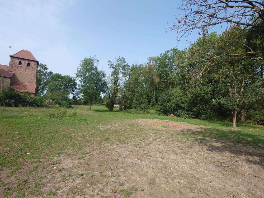 Thumbnail-Grundstück zu verkaufen in Könnern 64.000,00 € 800 m²