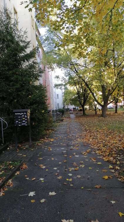 Thumbnail-Wohnung zum Mieten in Dresden 390,00 € 54.1 m²