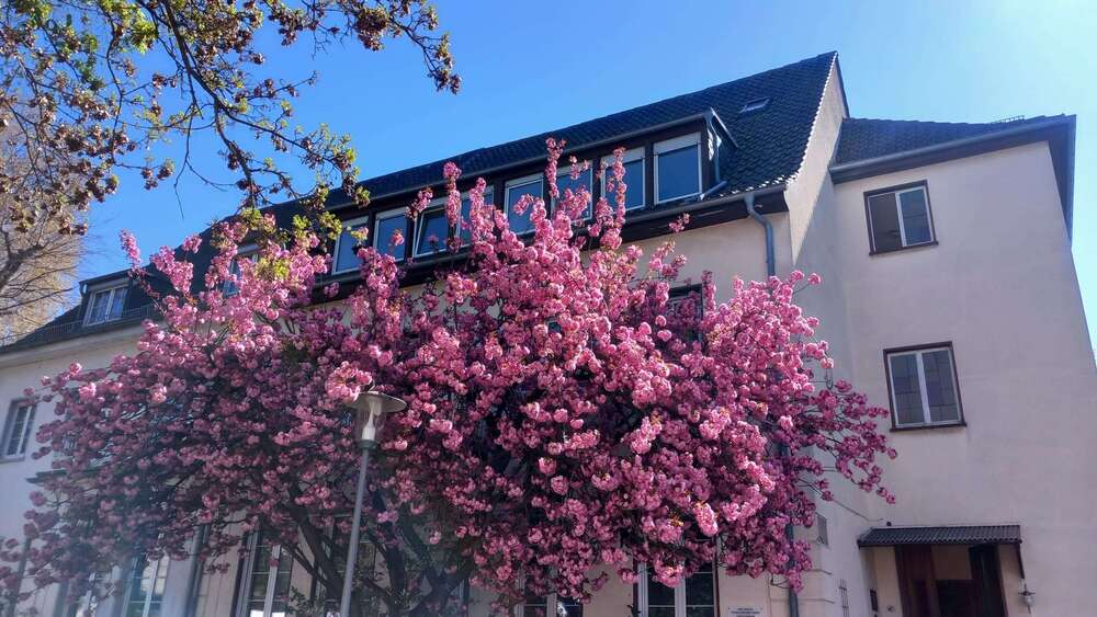 Thumbnail-Haus zum Kaufen in Ludwigshafen 1.395.000,00 € 491 m²