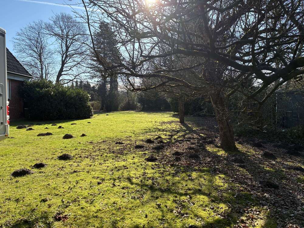 Thumbnail-Grundstück zu verkaufen in Hamburg Poppenbüttel 775.000,00 € 1022 m²