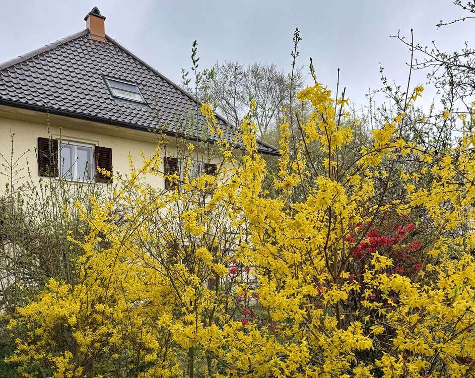 Thumbnail-Haus zum Kaufen in München 1.950.000,00 € 188 m²