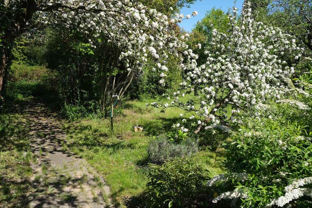 Thumbnail-Grundstück zu verkaufen in Panketal 270.000,00 € 698 m²