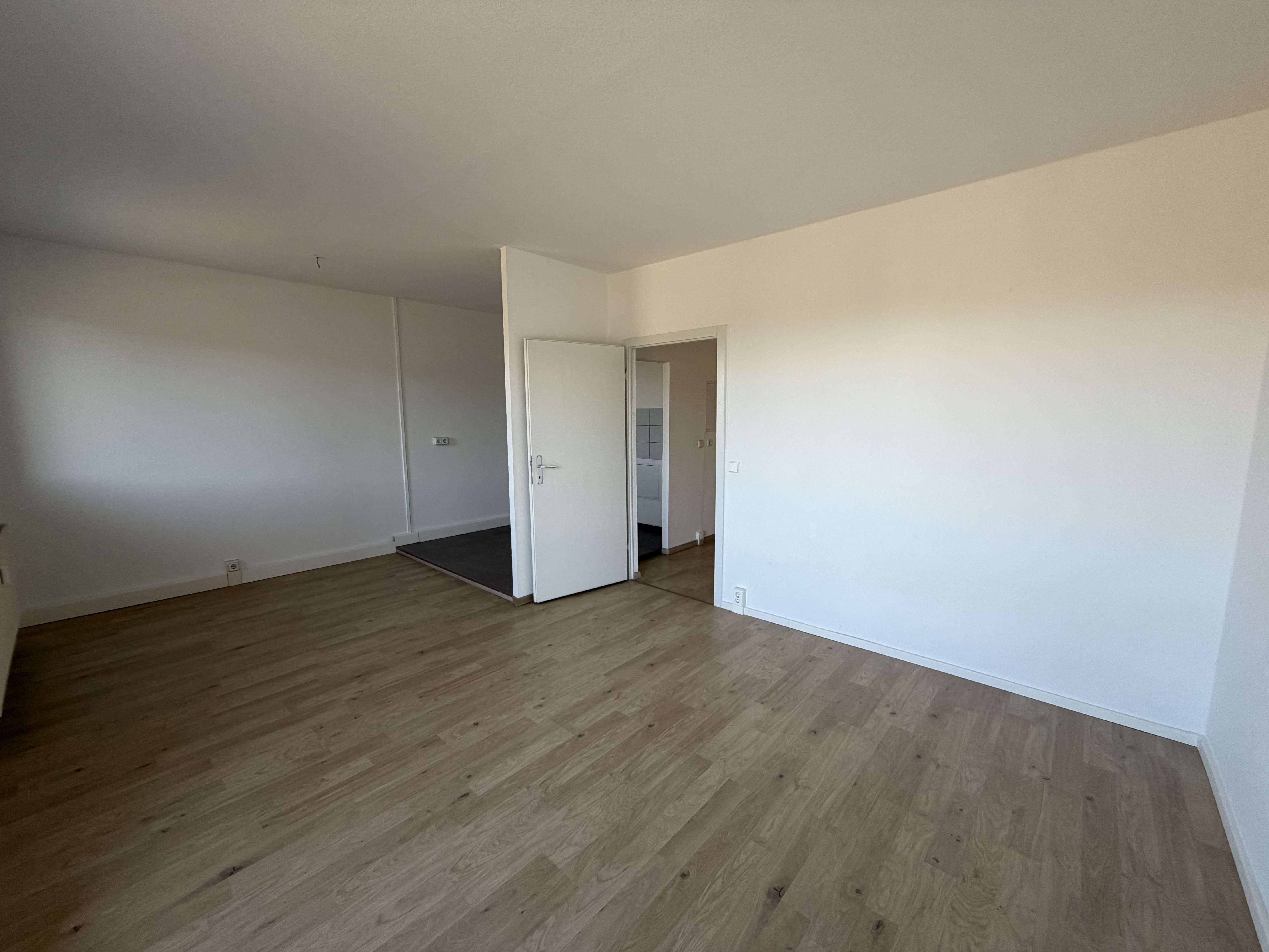 Thumbnail-Wohnung zum Mieten in Jessen (Elster) 350,00 € 50 m²