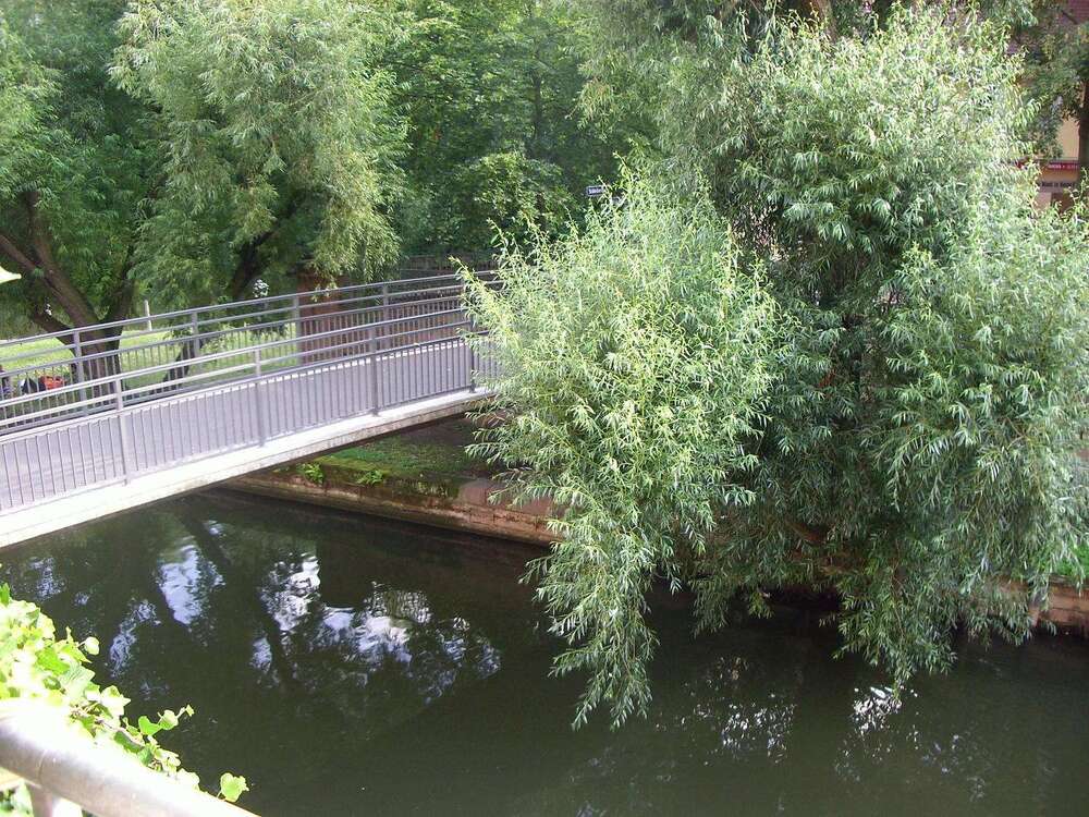 Thumbnail-Wohnung zum Mieten in Nürnberg 538,00 € 53.83 m²