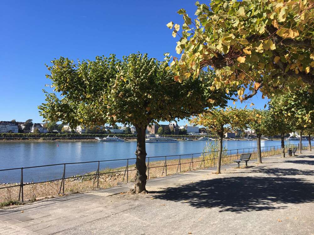 Thumbnail-Wohnung zum Kaufen in Bonn-Beuel 218.000,00 € 52 m²