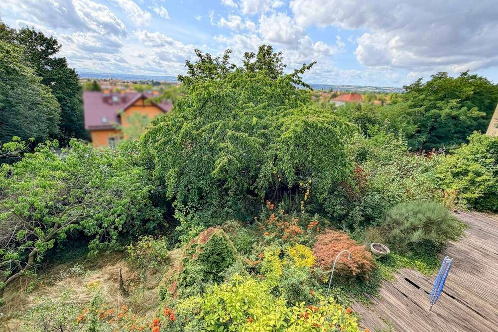 Thumbnail-Grundstück zu verkaufen in Dresden 695.000,00 € 1056 m²