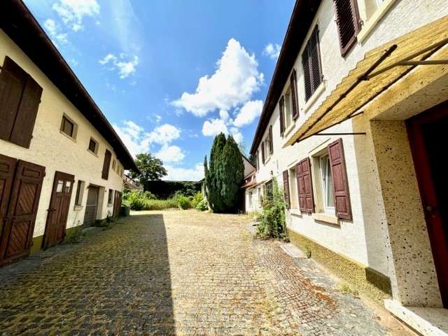 Thumbnail-Haus zum Kaufen in Hahnheim 598.500,00 € 290 m²