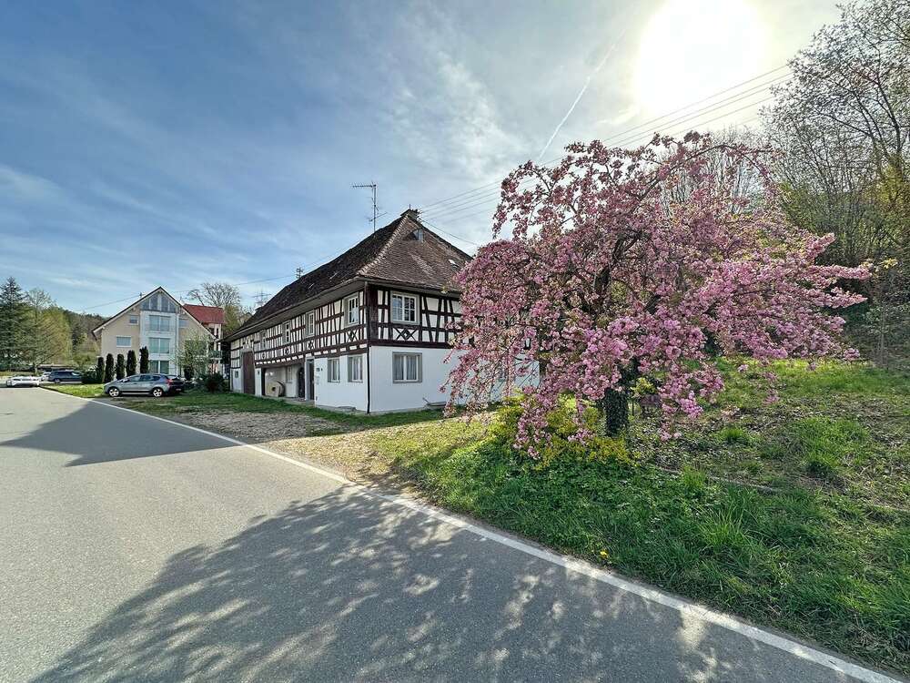 Thumbnail-Haus zum Kaufen in Bermatingen 499.000,00 € 132.2 m²