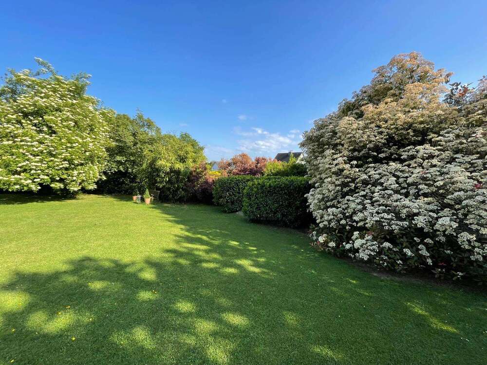 Thumbnail-Grundstück zu verkaufen in Bergisch Gladbach 239.000,00 € 420 m²